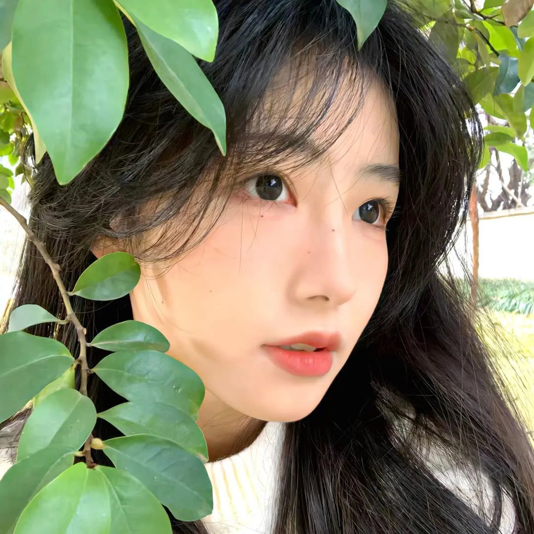 花样男子