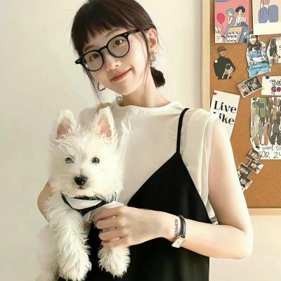 黄梅戏宗师传奇
